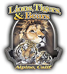 Lions, Tigers and Bears
