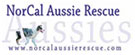 NorCal Aussie Rescue