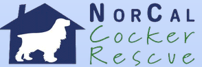 NorCal Cocker Rescue
