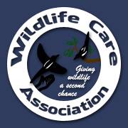 Wildlife Care Association