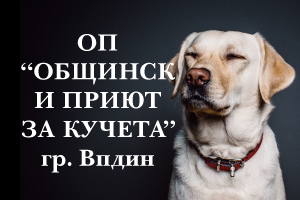 Community Government Animal Shelter