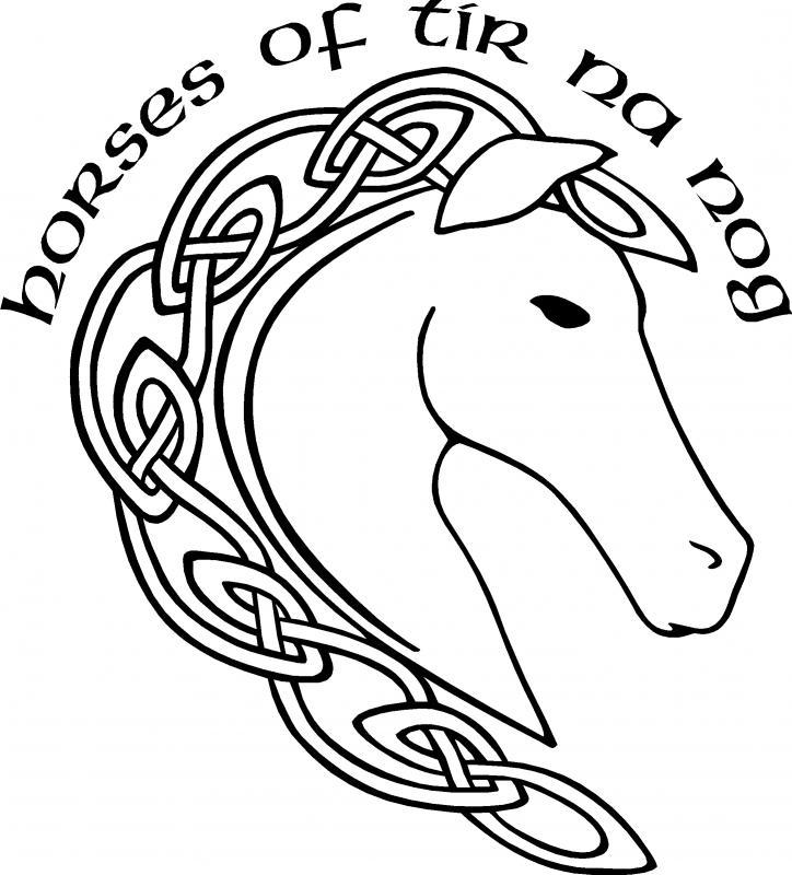 Horses of Tir Na Nog